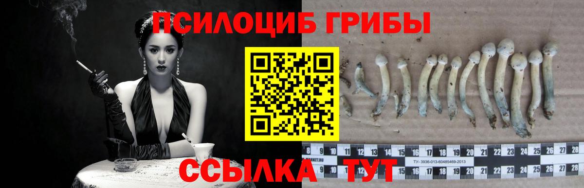 Галлюциногенные грибы мухоморы Унеча